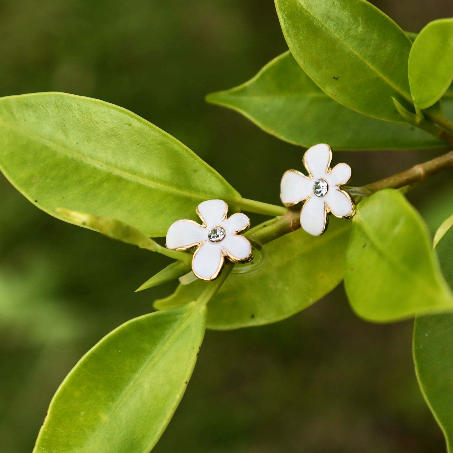 Flower Bliss Clip On Earrings